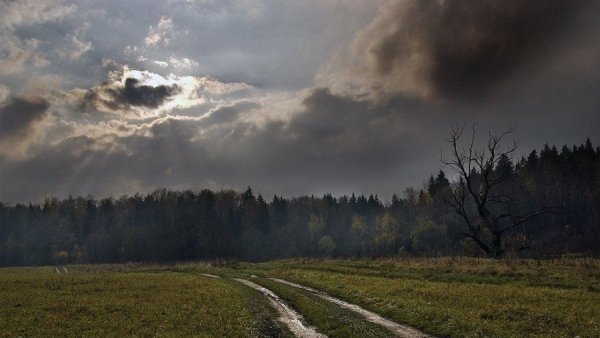 Хмурая дождливая осень