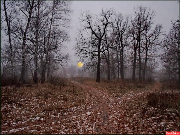 Хмурая осень