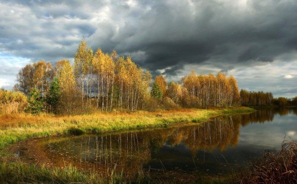 Пасмурная природа