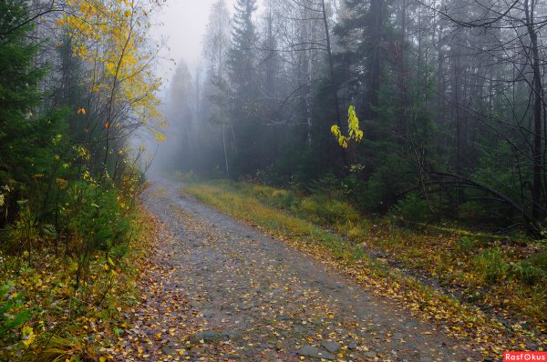 Хмурая осень