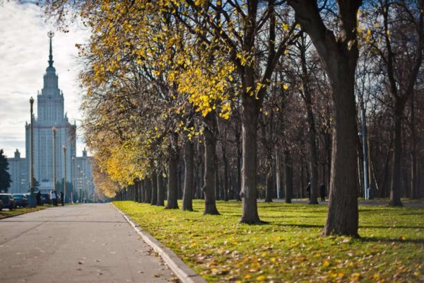 Бабье лето в Москве МГУ