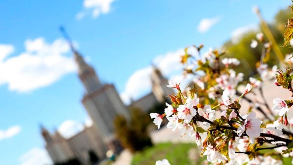 Весенняя Россия