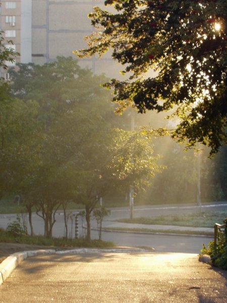 Солнечный день в городе