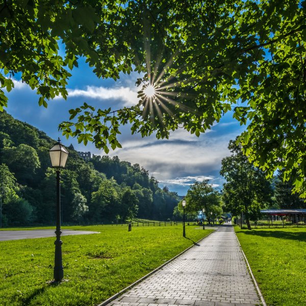 Лето в парке