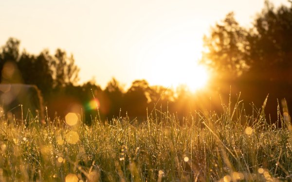 Свет солнца