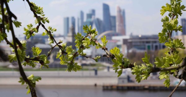 Весна в разгаре