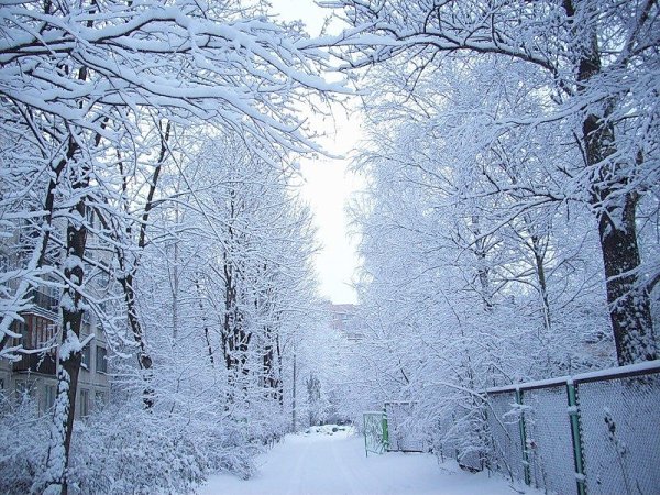 Совсем скоро зима