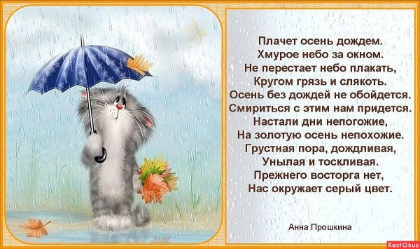 Красивые стихи про дождливую осень