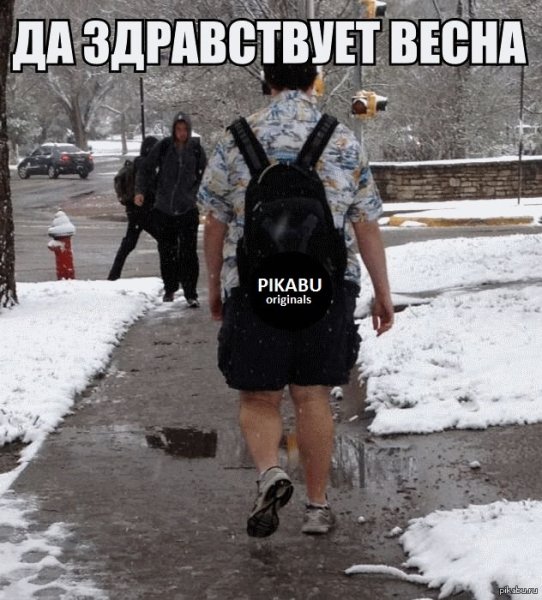 Одет по погоде прикол