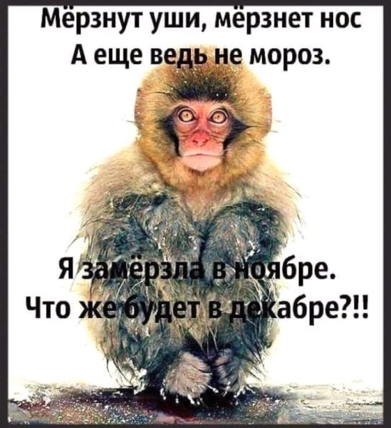 Шутки про Мороз