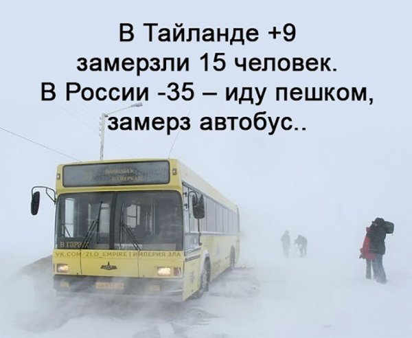 Приколы про Мороз