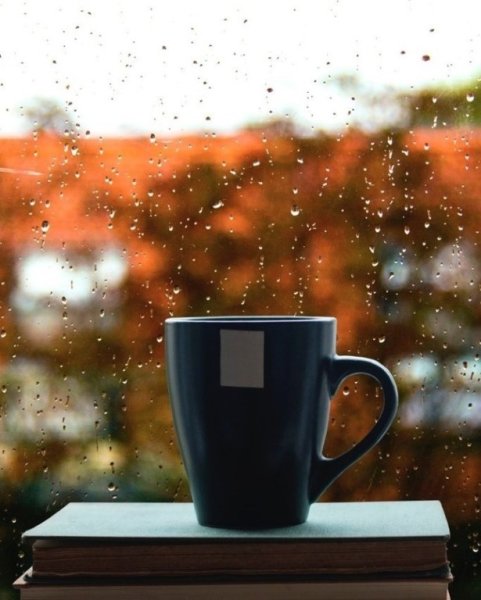 Кружка на окне