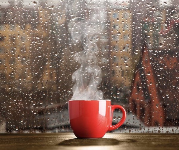 Дождь за окном