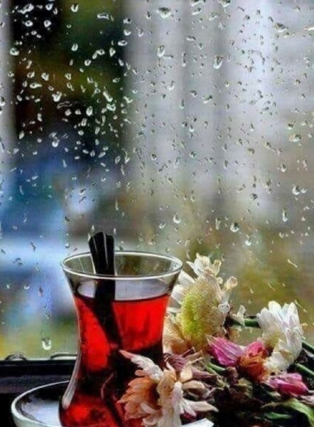 Доброе дождливое утро