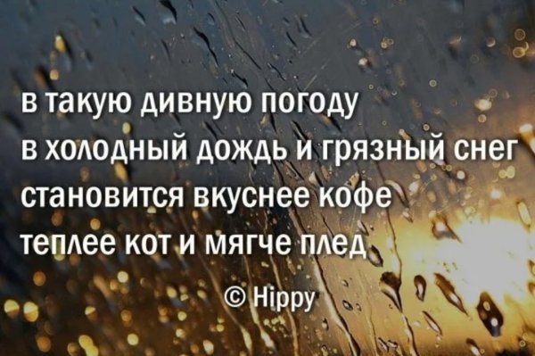 Цитаты про дождь