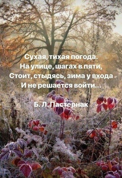 Мудрые мысли о зиме