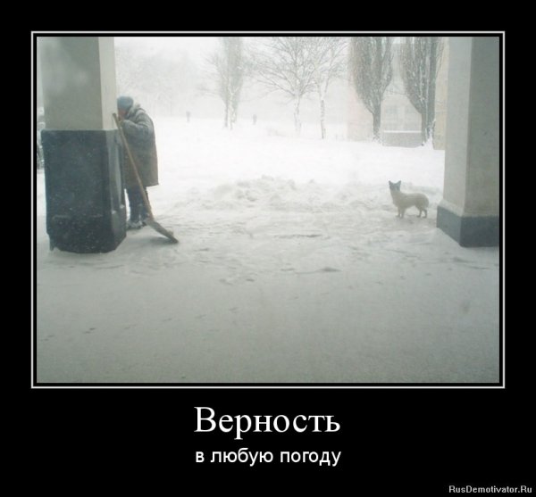 Демотиваторы про погоду смешные