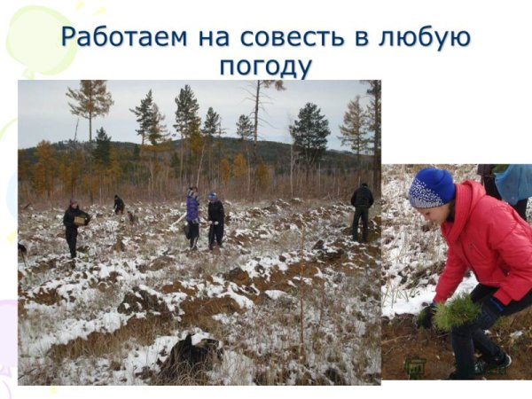 Экологическая совесть