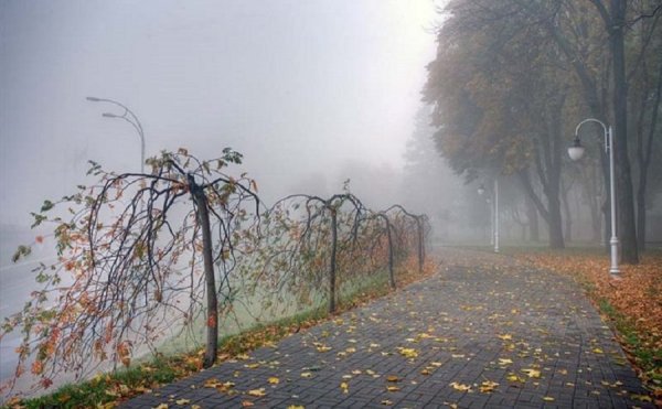 Поздняя дождливая осень