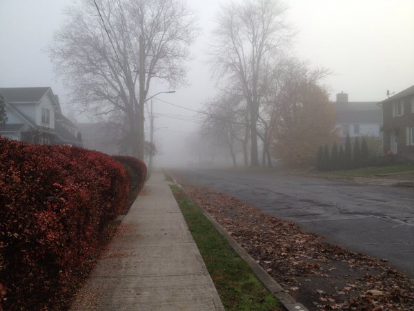 Пасмурная осень в городе