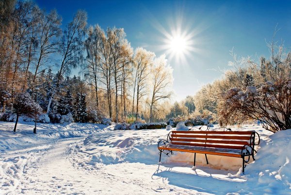 Зимний парк