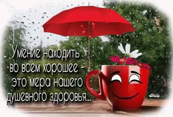 Доброе утро несмотря на дождь