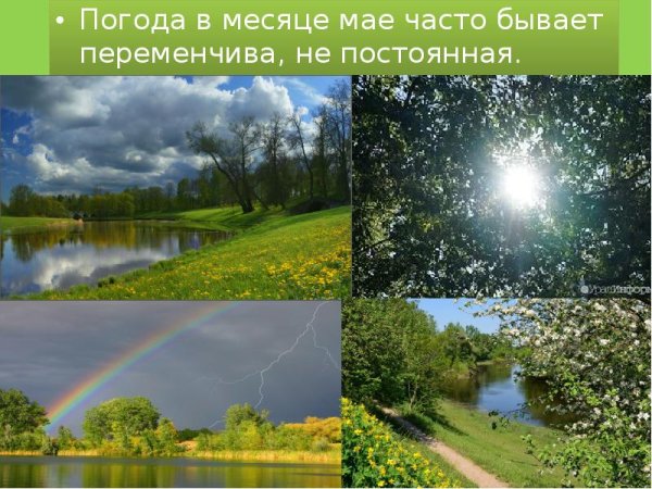 Месяц май природа презентация