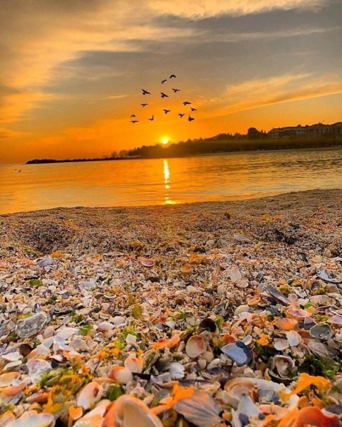 Доброе утро хорошего настроения в любую погоду