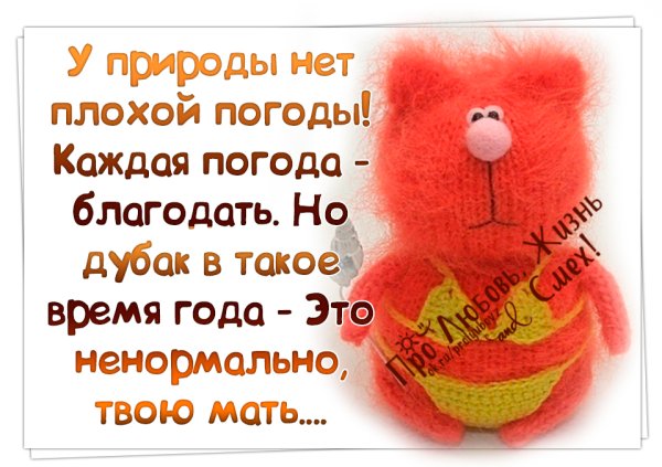 У природы нет хлохой породы