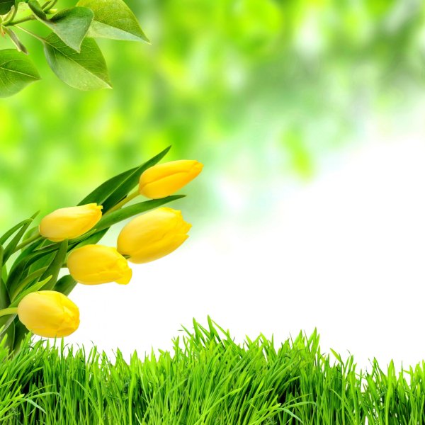 Хорошего весеннего дня