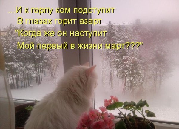 С дождливым зимним утром