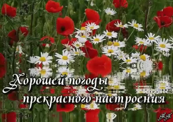 Прекрасной погоды и настроения