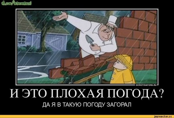 Да я в такую погоду загорал