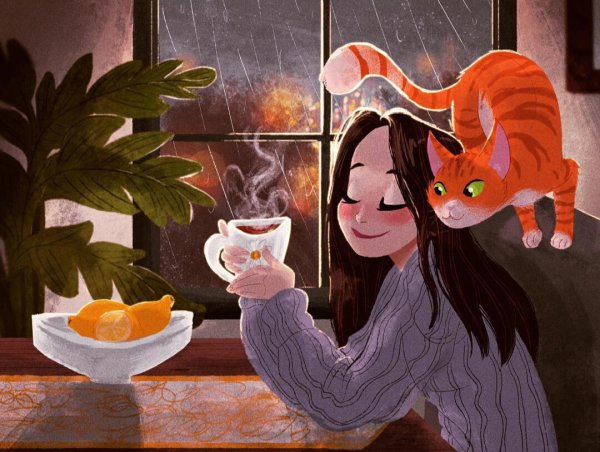 Девушка кот и чай