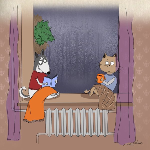 Холодное утро юмор