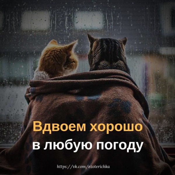 Вдвоем лучше