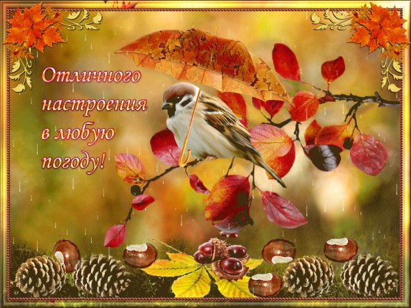 Хорошего осеннего дня