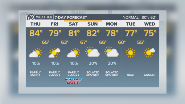 Weather Forecaster