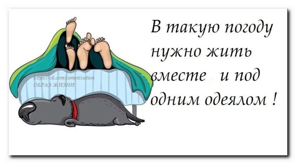 В такую погоду желательно жить вместе и под одним одеялом