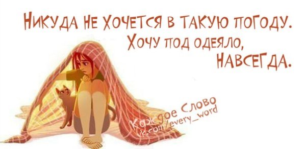 Высказывания про одеяло