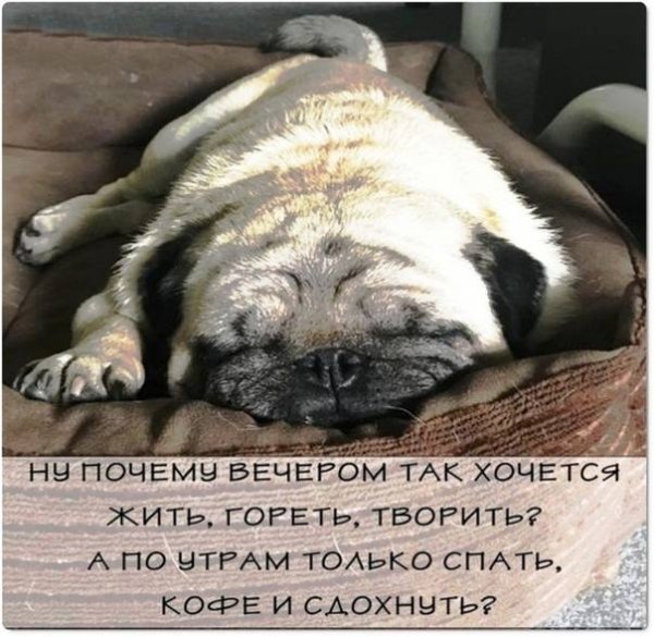 Утром хочется спать