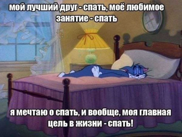 Ложимся спать прикольные