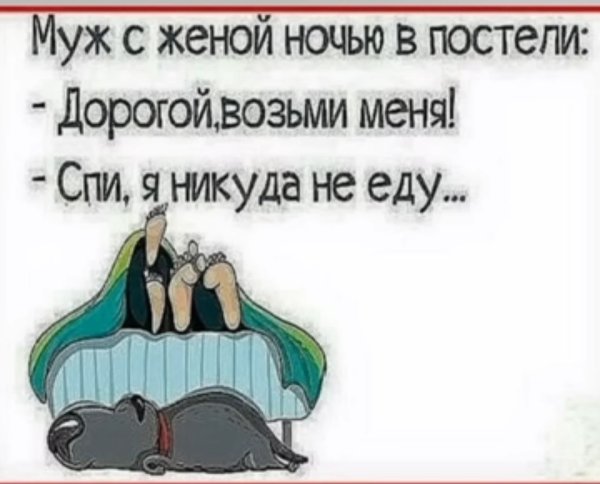 Анекдоты спокойной ночи смешные