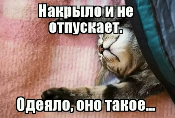 Одеяло накрыло и не отпускает