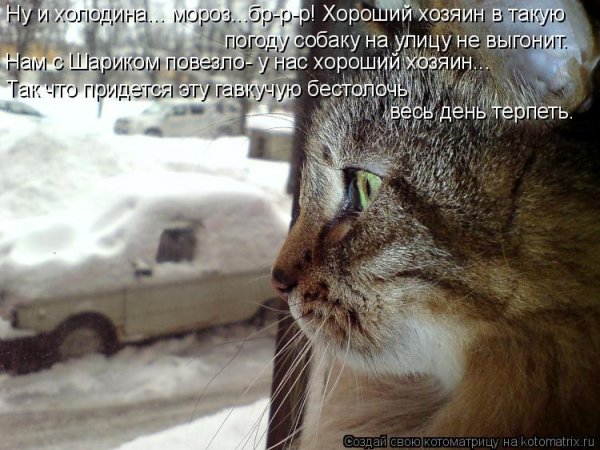 Ну и Весна холодина на улице