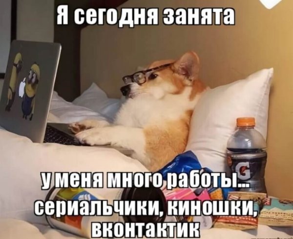 Мем много дел