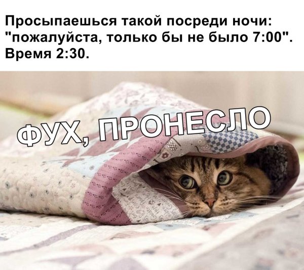 Теплое одеяло юмор