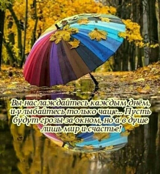 С добрым осенним утром цитаты