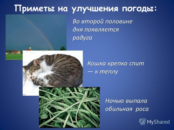 Презентация на тему народные приметы