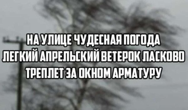Лёгкий апрельский ветерок треплет за окном арматуру